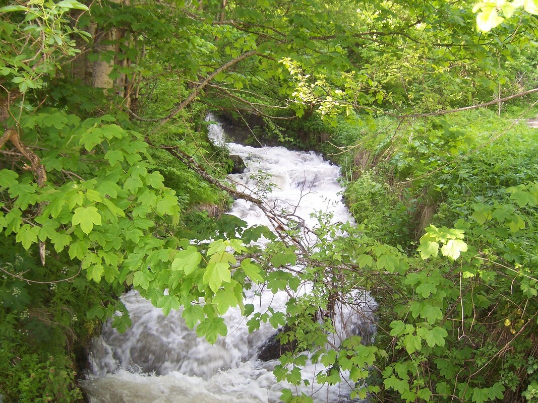 image-6