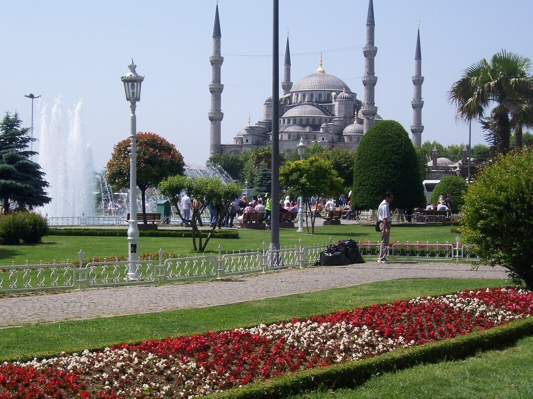 image-3