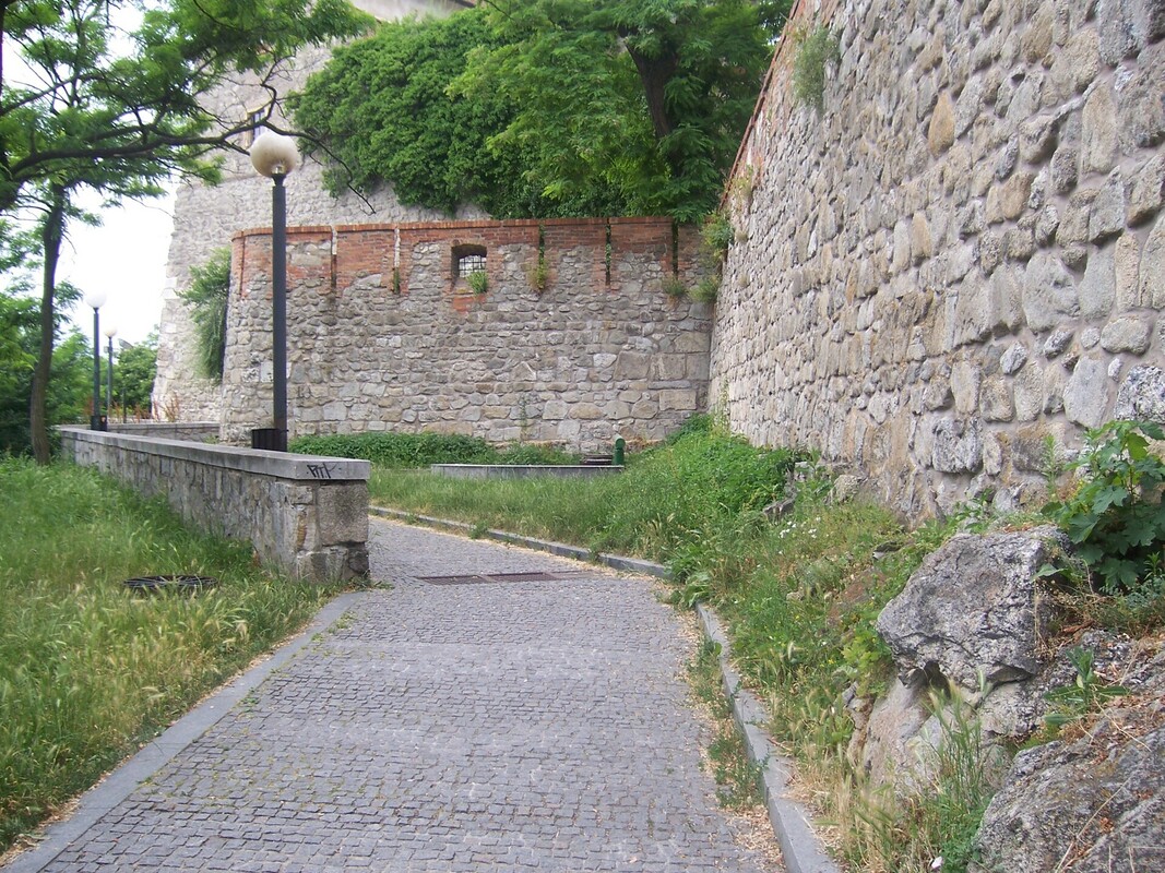 image-5