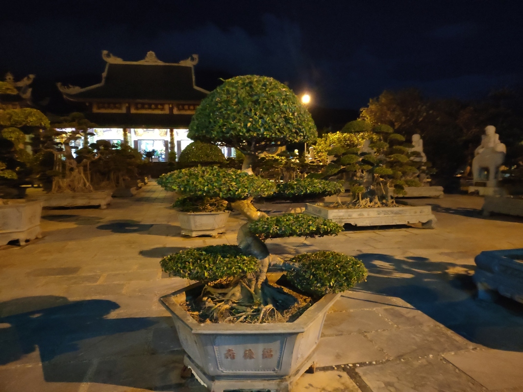 image-14