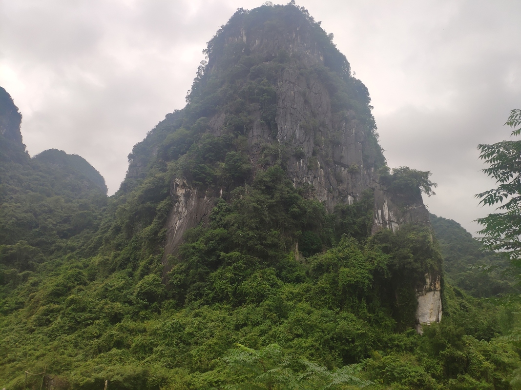 image-18