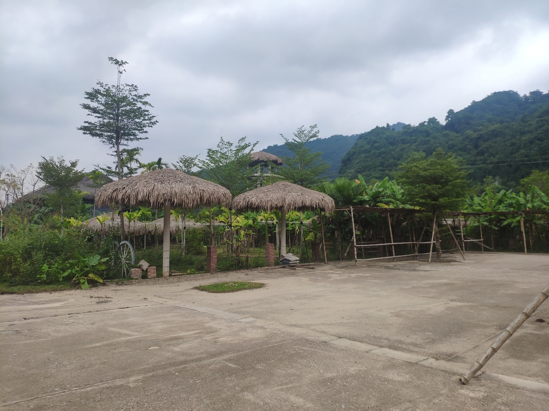 image-19