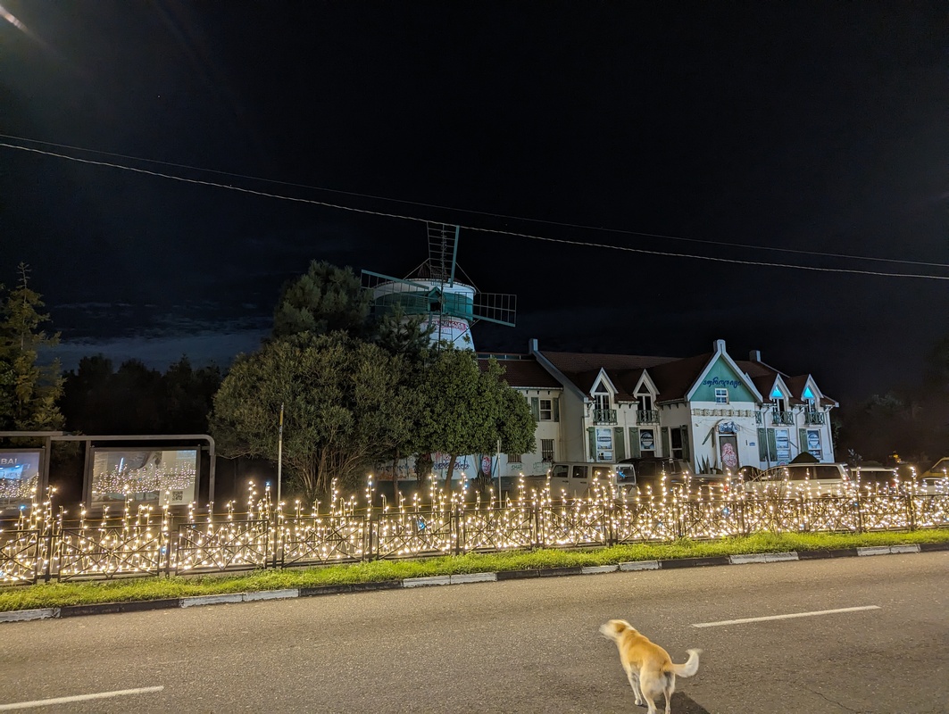 image-7