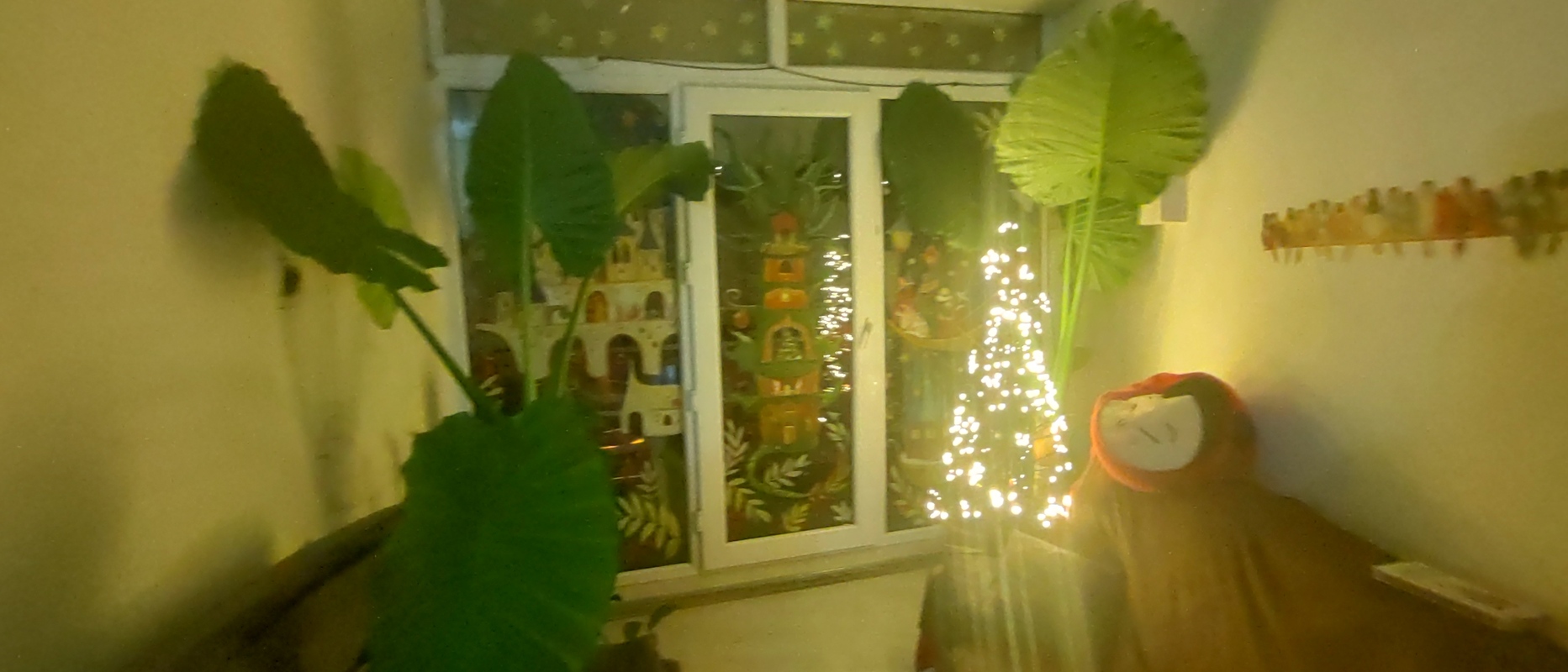 image-10