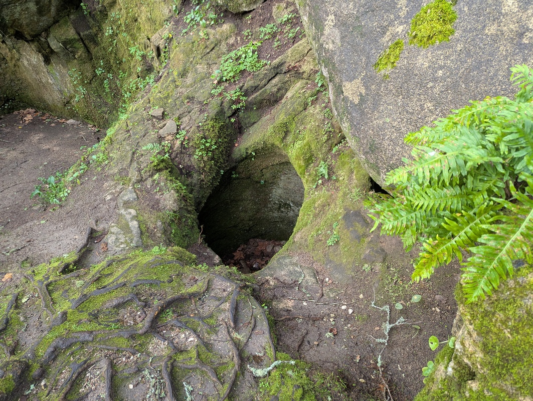 image-9