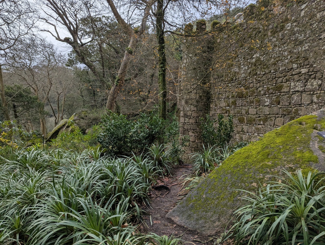 image-18