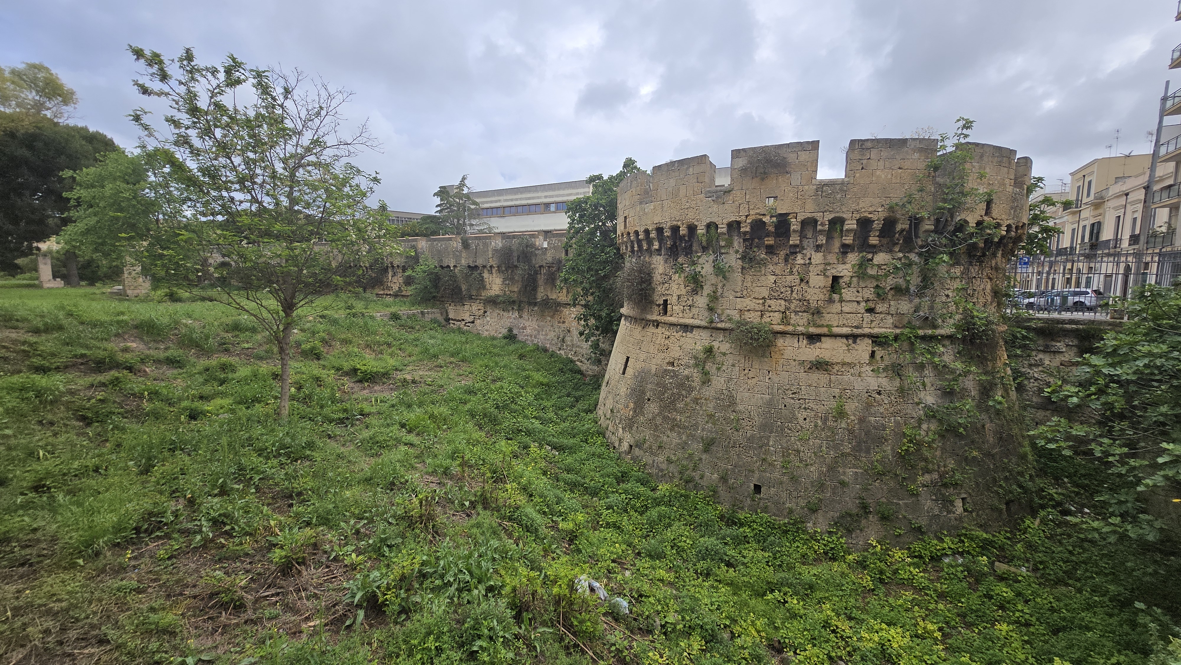 image-3