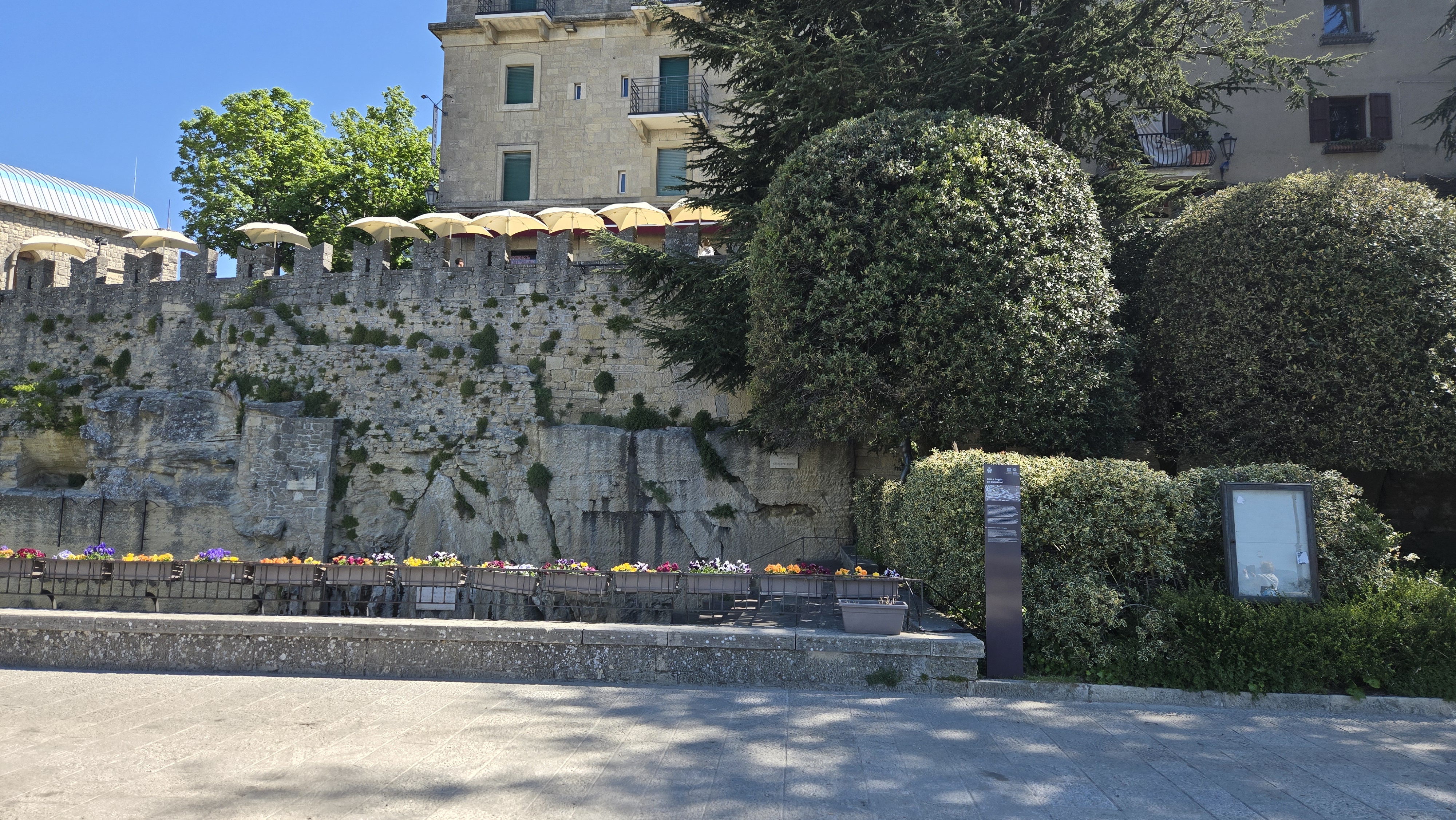 image-19