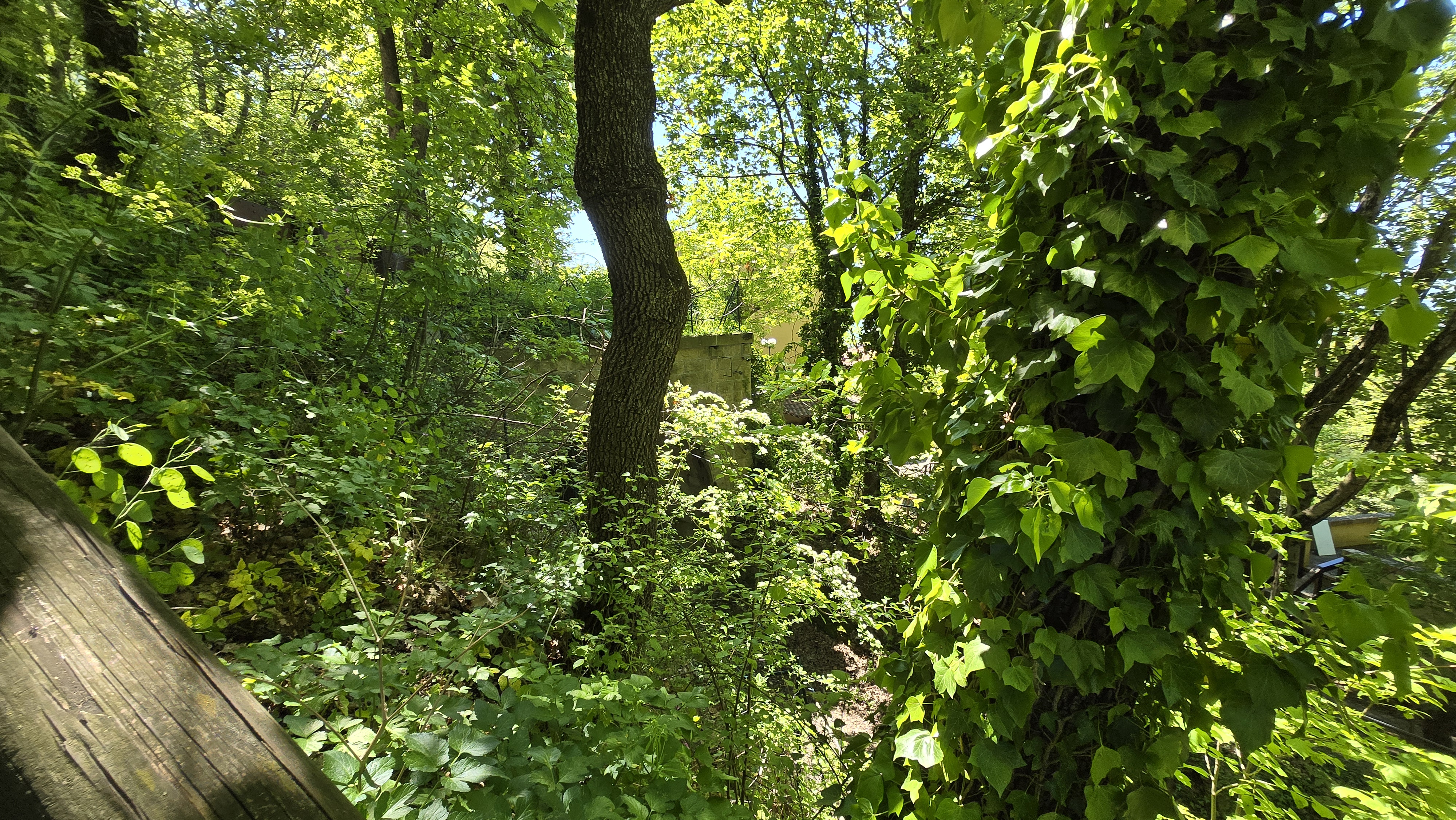 image-43