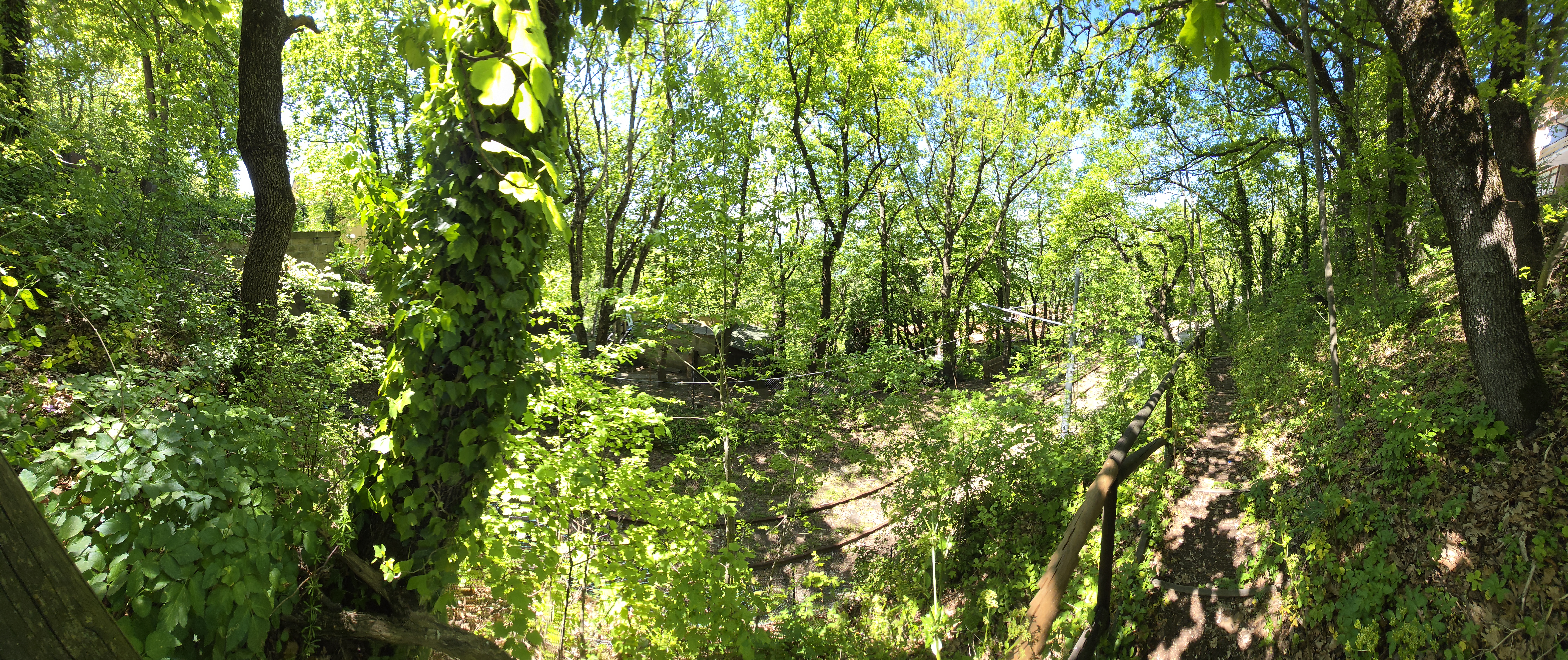 image-44