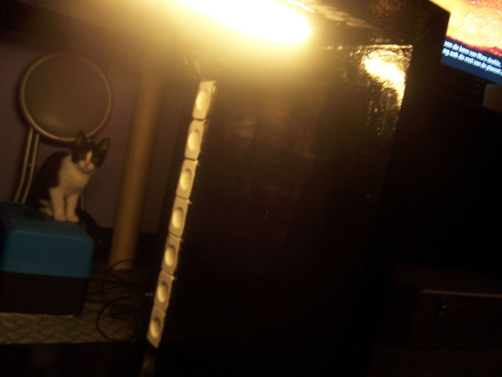 image-5
