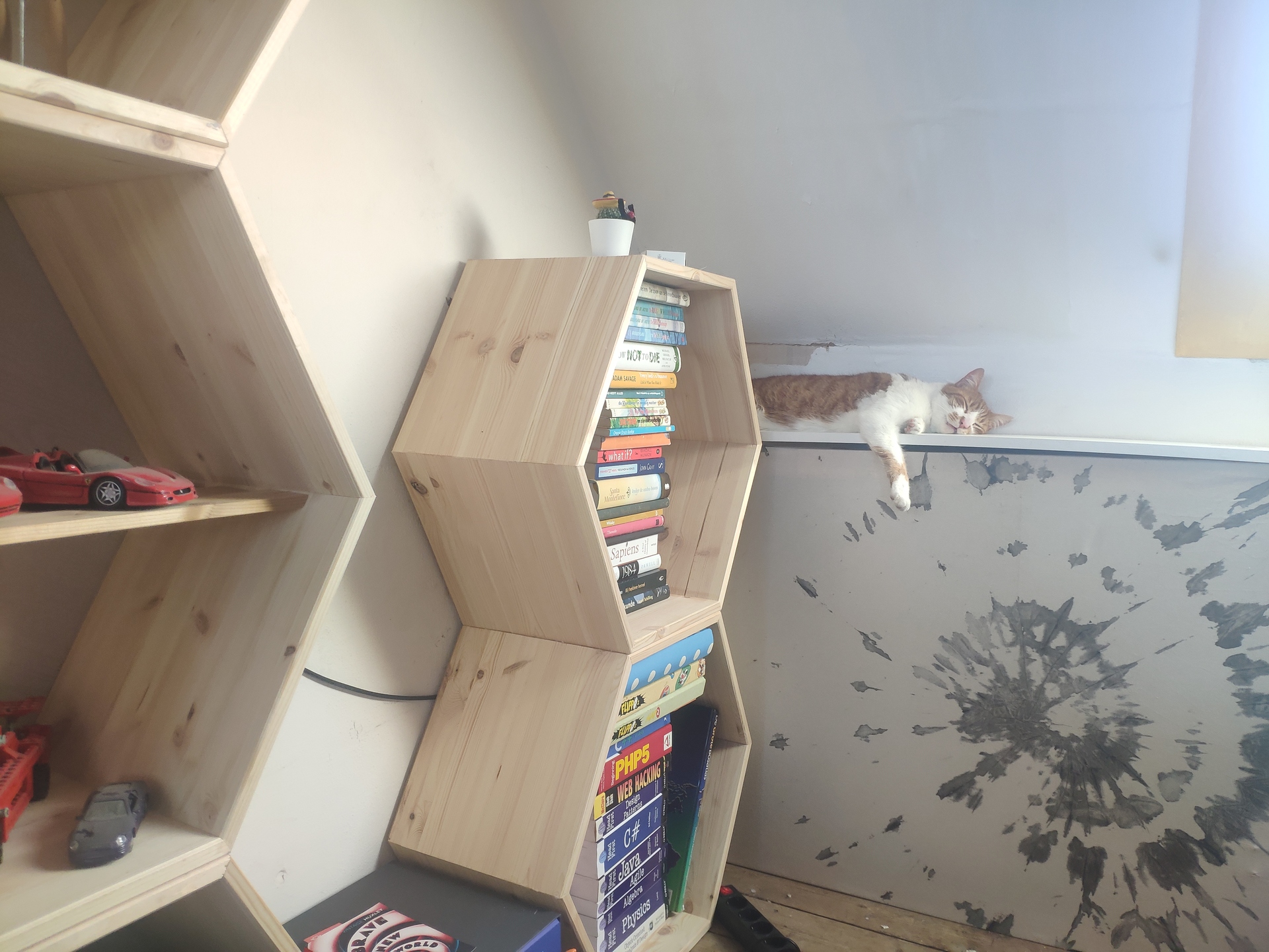 Gallery image 10